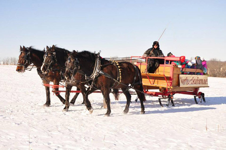 Sleigh ride in the winter at the Northern Star Farm.