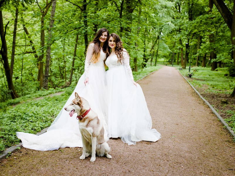 Two brides on a tree-lined path with their Husky.
